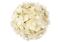 Декоративна гілка гортензії 92см (Суцвіття знімне D27см), колір - кремово-рожевий - 0 
