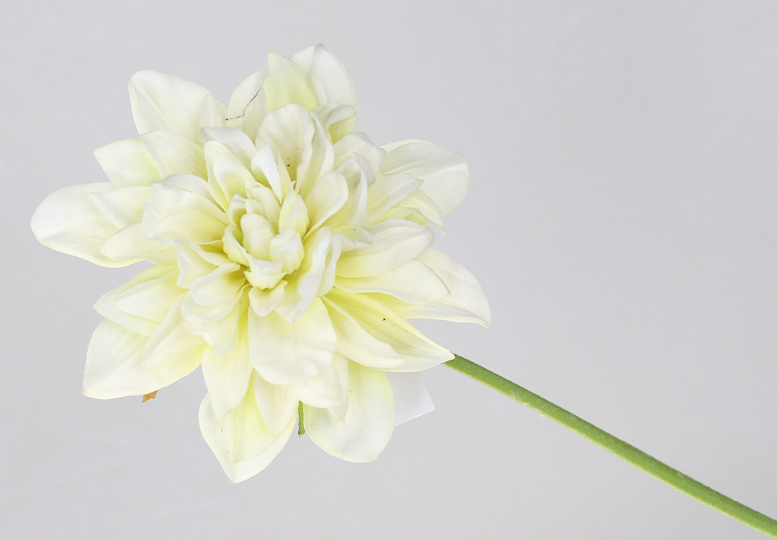 Декоративна гілка Жоржини 32см, колір - кремово-білий